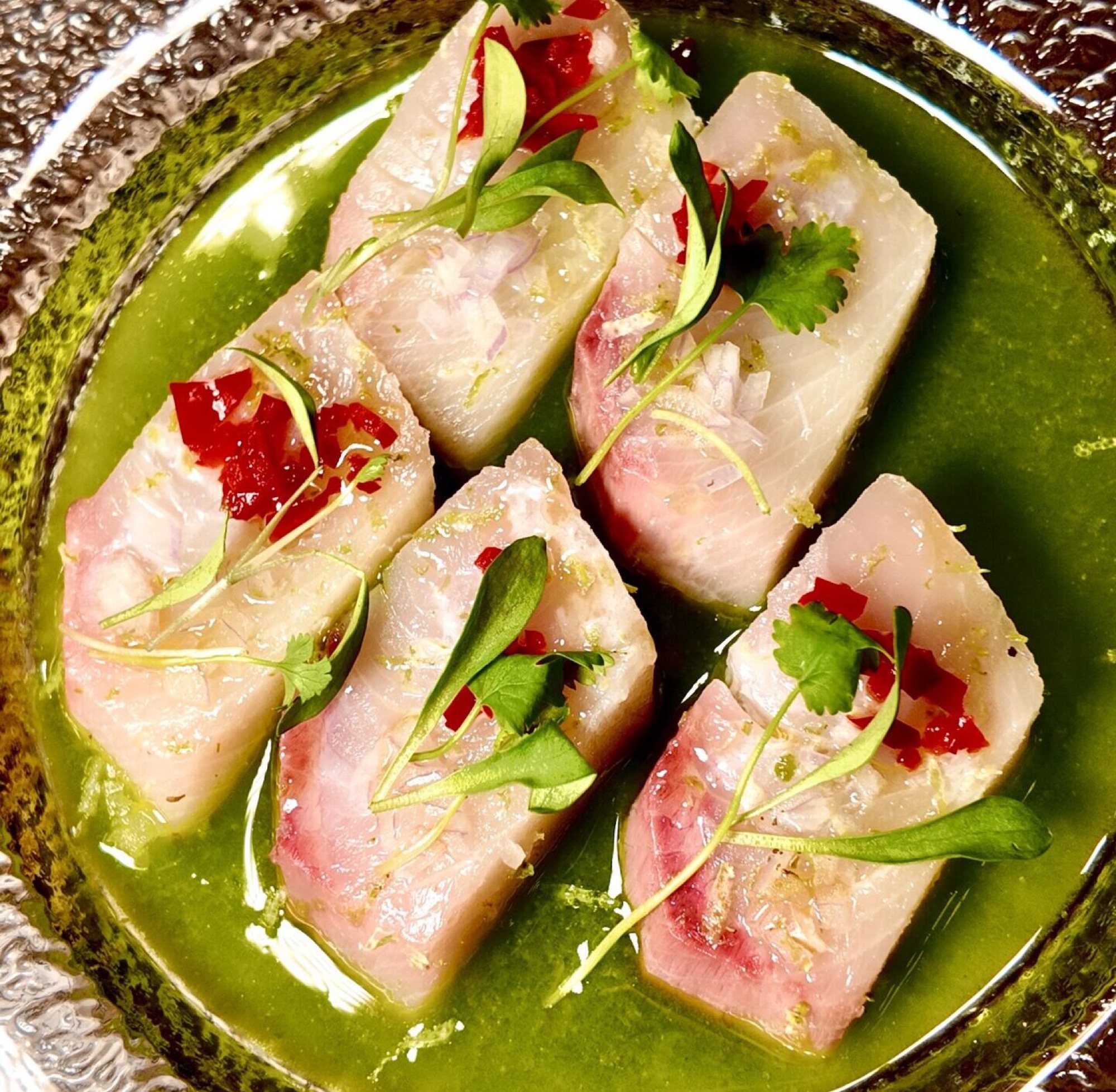 Hamachi crudo over a bright herb sauce